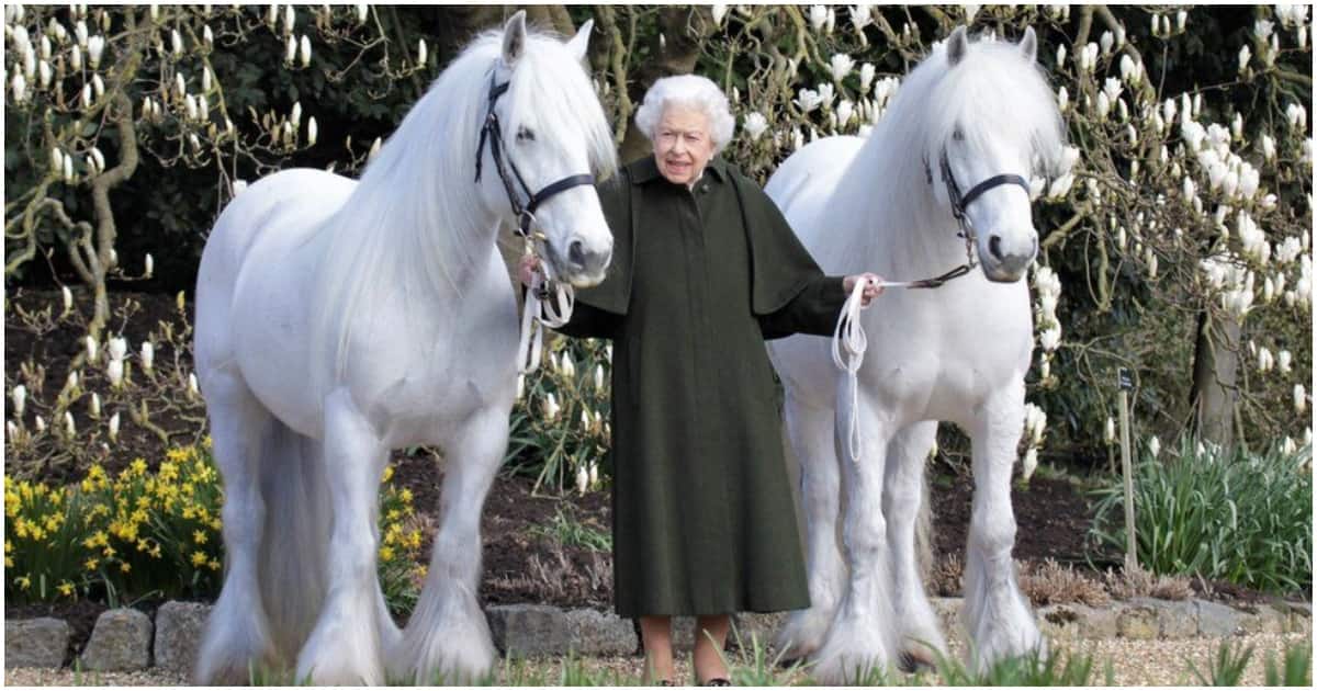 She took a photo with her ponies on her 96th birthday. Photo: Getty Images.