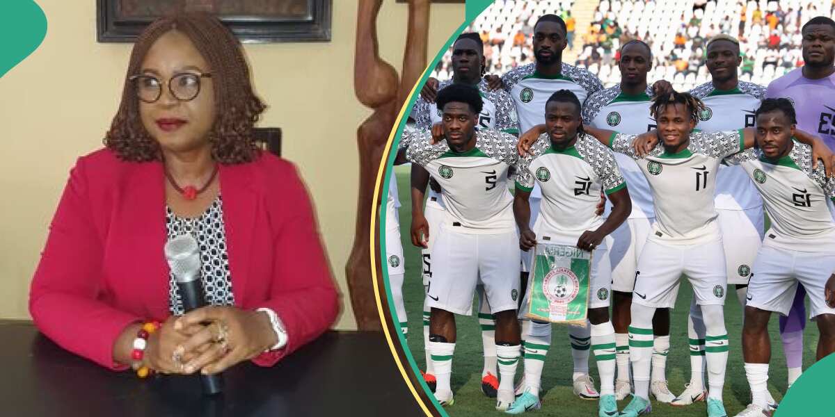 Nigeria vs Ivory Coast: It'll cost me 5 months’ salaries to watch AFCON final, law professor laments
