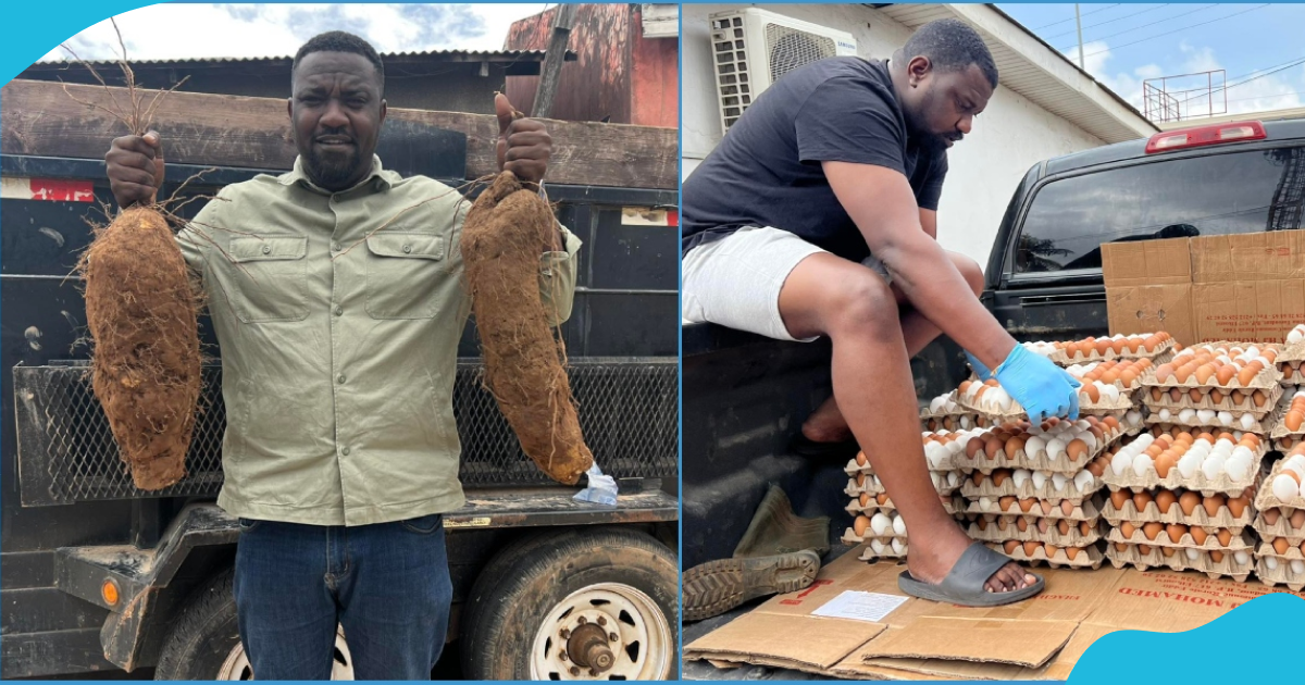 John Dumelo reveals he has employed over 300-400 people through farming