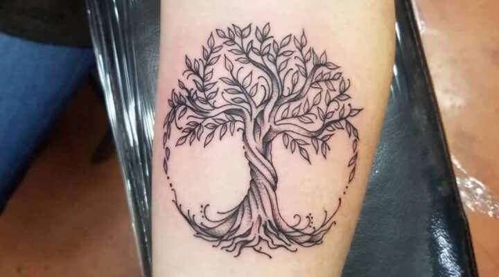 20 incredible tree of life tattoo ideas and what they mean - YEN.COM.GH