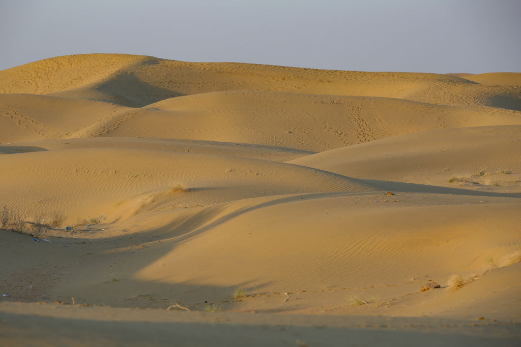 What is the driest desert in the world