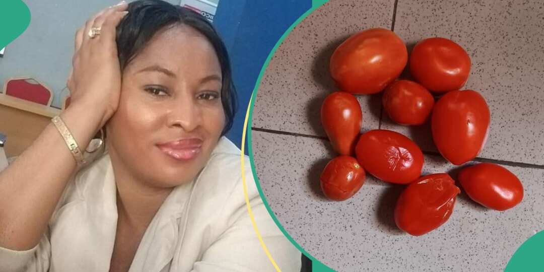 Lady displays tomatoes she bought for N1,500