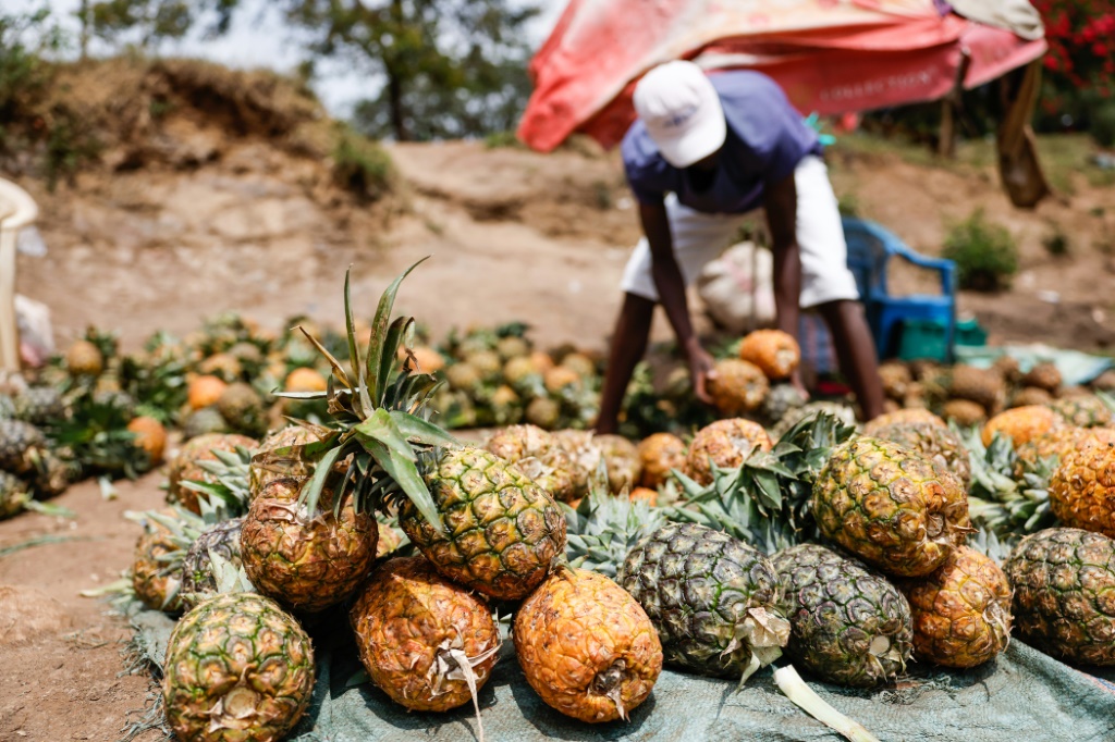 Pineapples at an informal market on the road