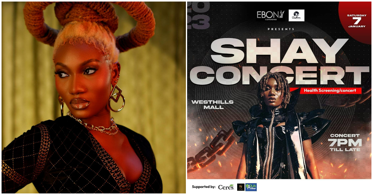 Wendy Shay Concert: Military and security attack partygoers at concert, video causes public outrage