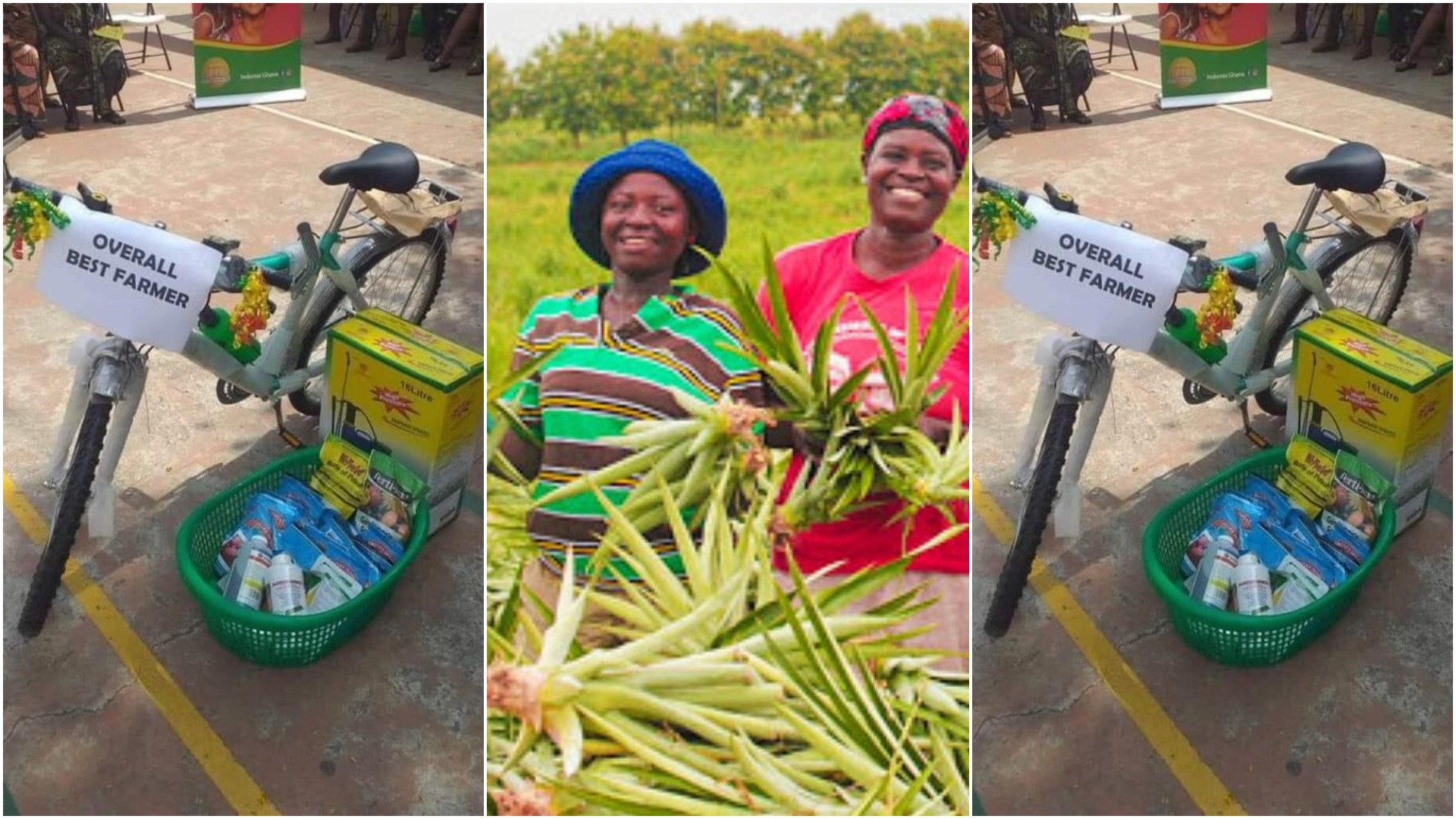 A polytank, insecticides and cutlasses were part of Farmer's Day prize - AMA clarifies