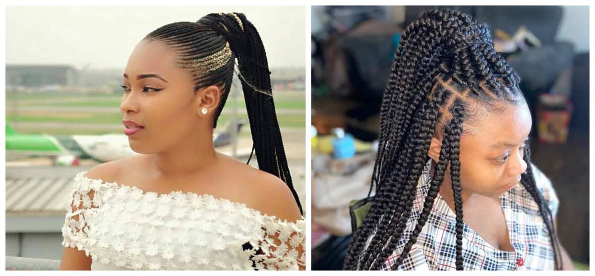 10 best Ghana braids ponytail styles you should rock in 2021 - YEN