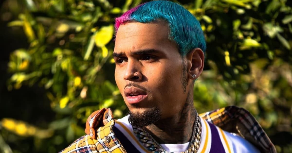 Chris Brown's 32nd Birthday Party Broken Up by LA Police Force