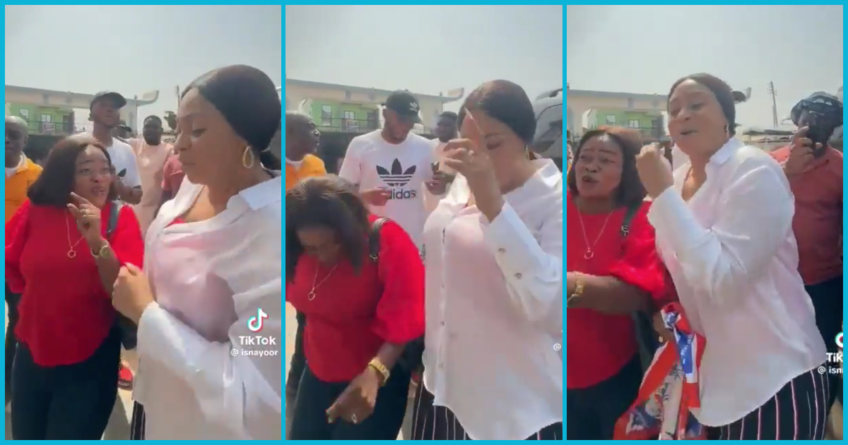 Video of Adwoa Safo dancing happily after losing NPP primary pops up, she has amessage for critics