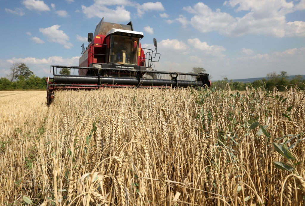 Photo of Poľsko, Maďarsko a Slovensko odmietajú rozhodnutie EÚ zakázať dovoz obilia z Ukrajiny