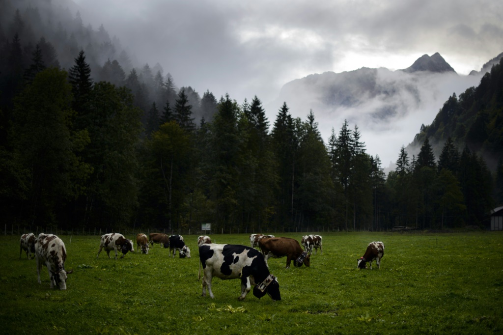 The government and parliament oppose the initiative, insisting that Switzerland already has strict animal welfare laws