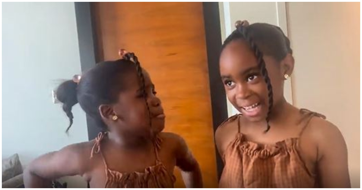 Nana Aba's Nieces 'Rip Into' Their Mother, Reveal She Does Not Know Maths Or English