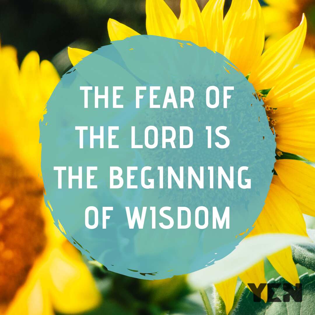 The fear of the Lord is the beginning of wisdom - proverb, bible verse