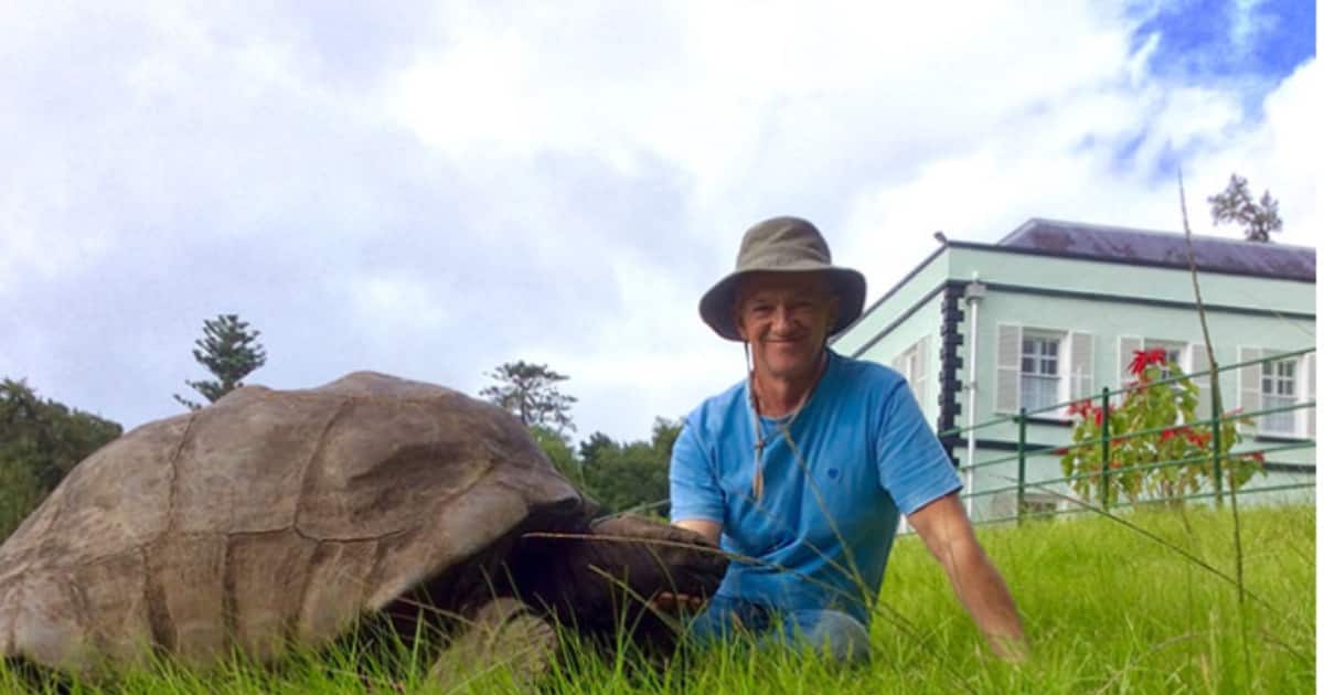 Jonathan:190-year-old tortoise becomes the world’s oldest living land animal