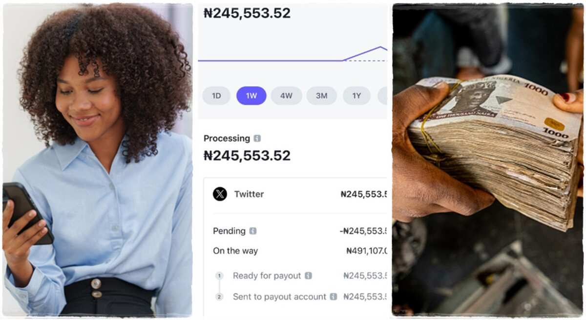 Nigerian lady made N245k from Twitter now known as X.