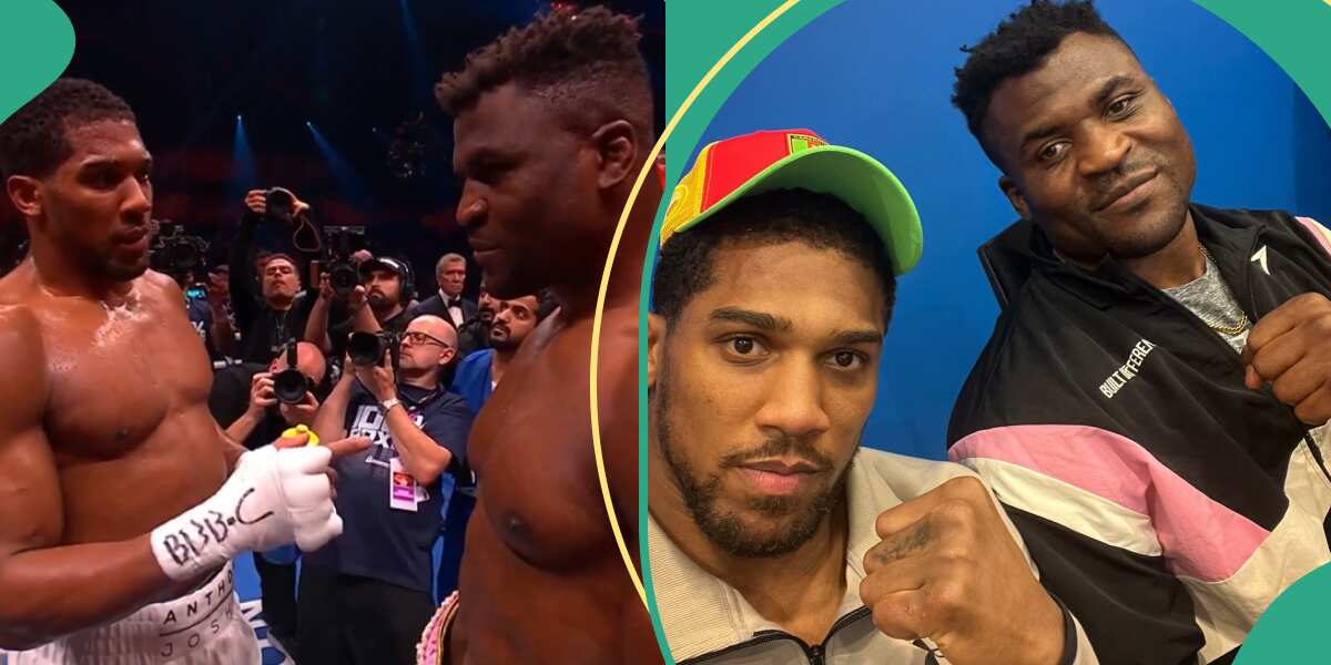 "Don't leave boxing": Anthony Joshua says to Francis Ngannou after knocking him out, clip trends