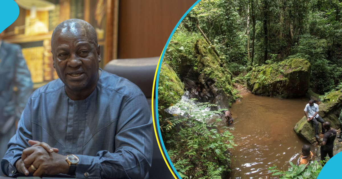 “I will ban all”: Mahama pledges to ban mining in forest reserves, says trees are more precious assets