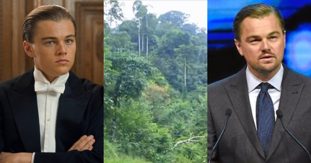Leonardo DiCaprio: World-renowned actor calls on Ghana to save earth by keeping Atewa forest safe