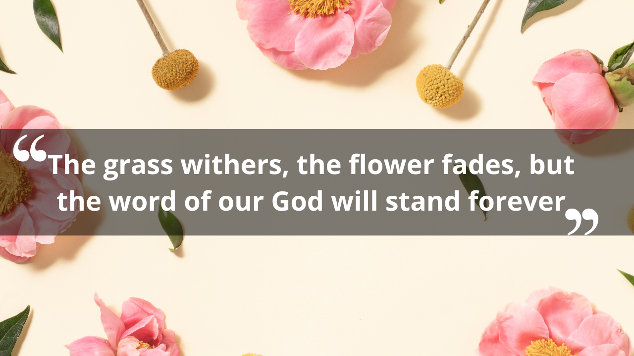 Bible quotes about flowers