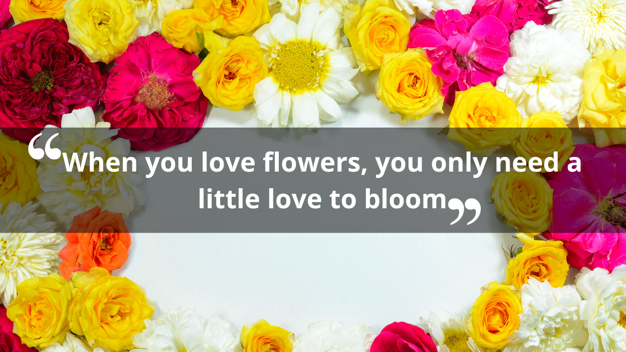 inspirational quotes about flowers