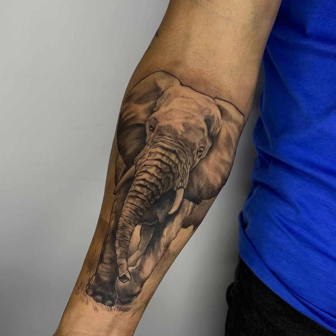 Minimalist line art elephant tattoo on the inner arm.