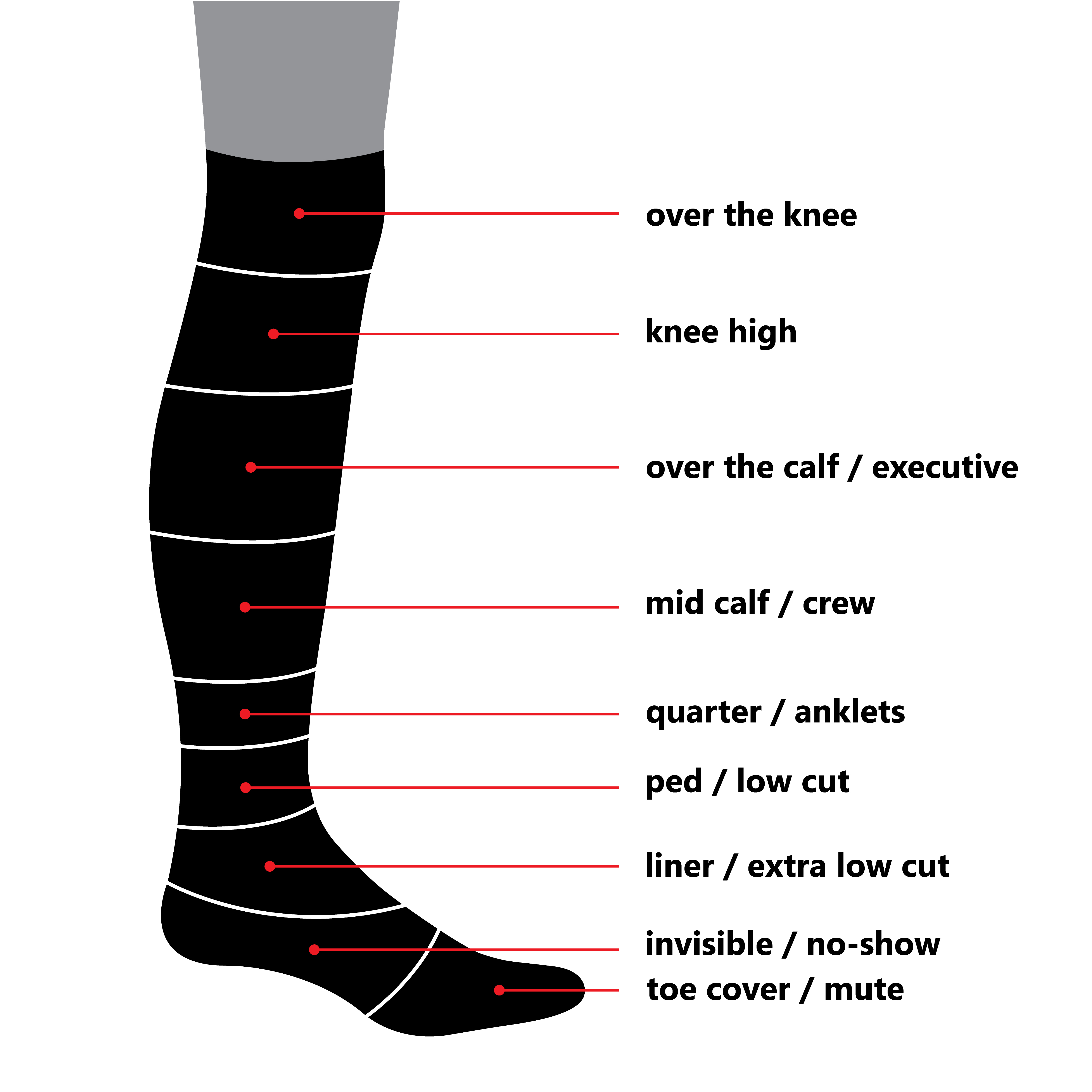 A leg displaying a sock-length chart