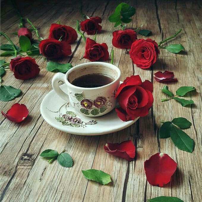 good morning coffee and rose