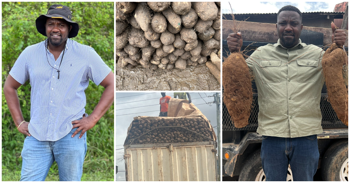 John Dumelo: Hardworking Actor and Farmer Records Bumper Harvest of Yam; Flaunts Full Truck In New Photos