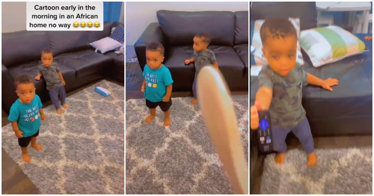 Mum scolds her baby twins in video for watching cartoons early in the morning: "Are you people that jobless?"