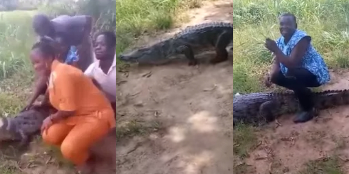Local assembly gives update on injury of crocodile attack victim in Volta Region