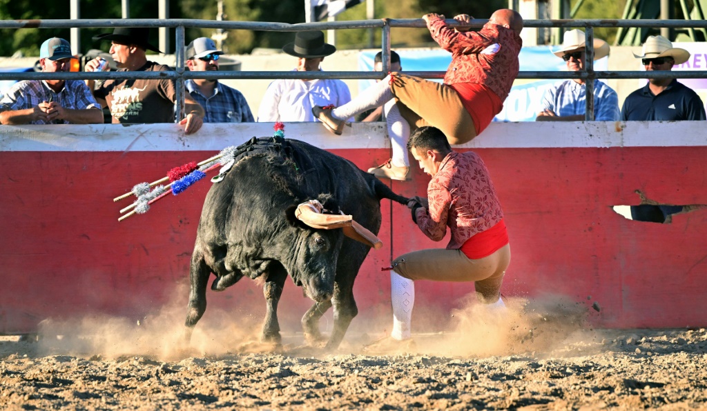 One fighter literally has the task of grabbing the bull by the horns