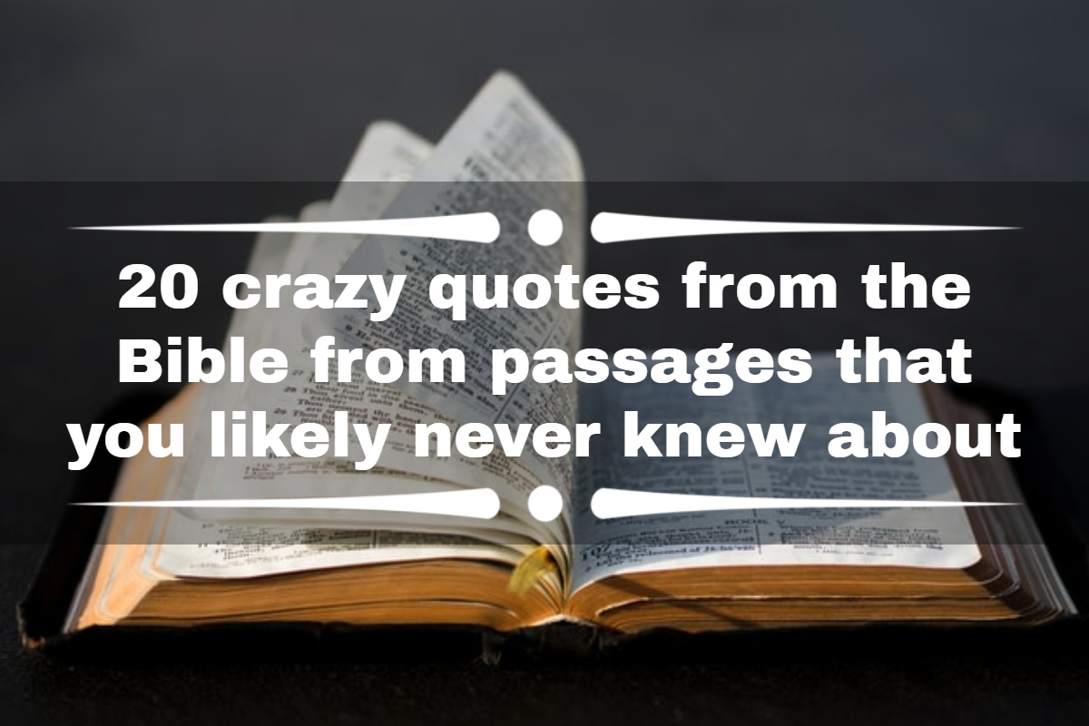 crazy quotes from the Bible