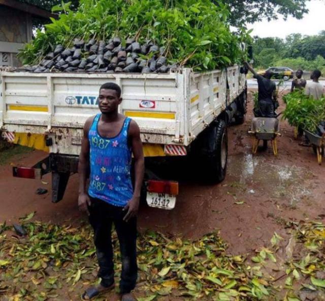 Meet 23-year-old successful mango farmer