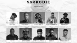 Ranked from best to last - The rappers on Sarkodie's "Biibi Ba" hit song