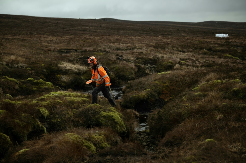 Using transplanted heather, workers undertake the gruelling task wherever gaps exist on the vast terrain