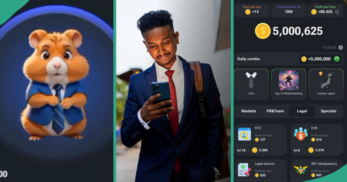 Hamster Kombat launch: 4 things to note about the trending Telegram game Nigerians are playing