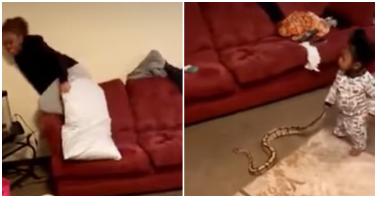 Kid scares mum with snake