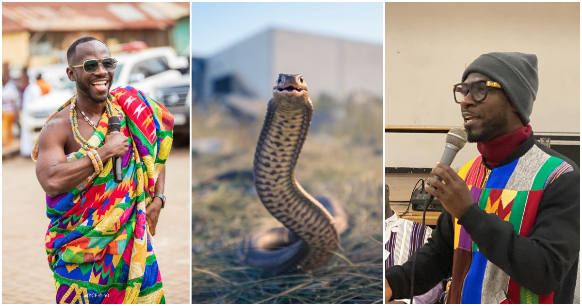 "I love animals": Okyeame Kwame says if he sees a snake in his home he would never kill it