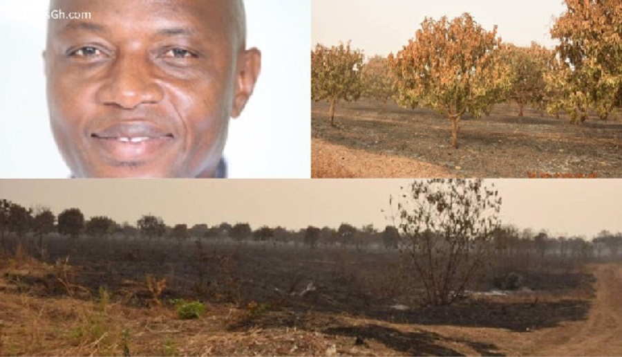 Photos of a man and a burnt plantation