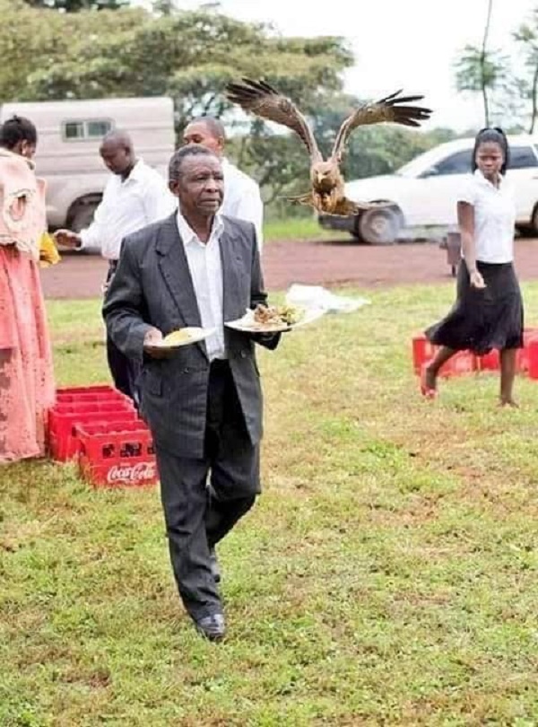 Mysterious giant bird scatters man’s food at wedding reception (Photos)