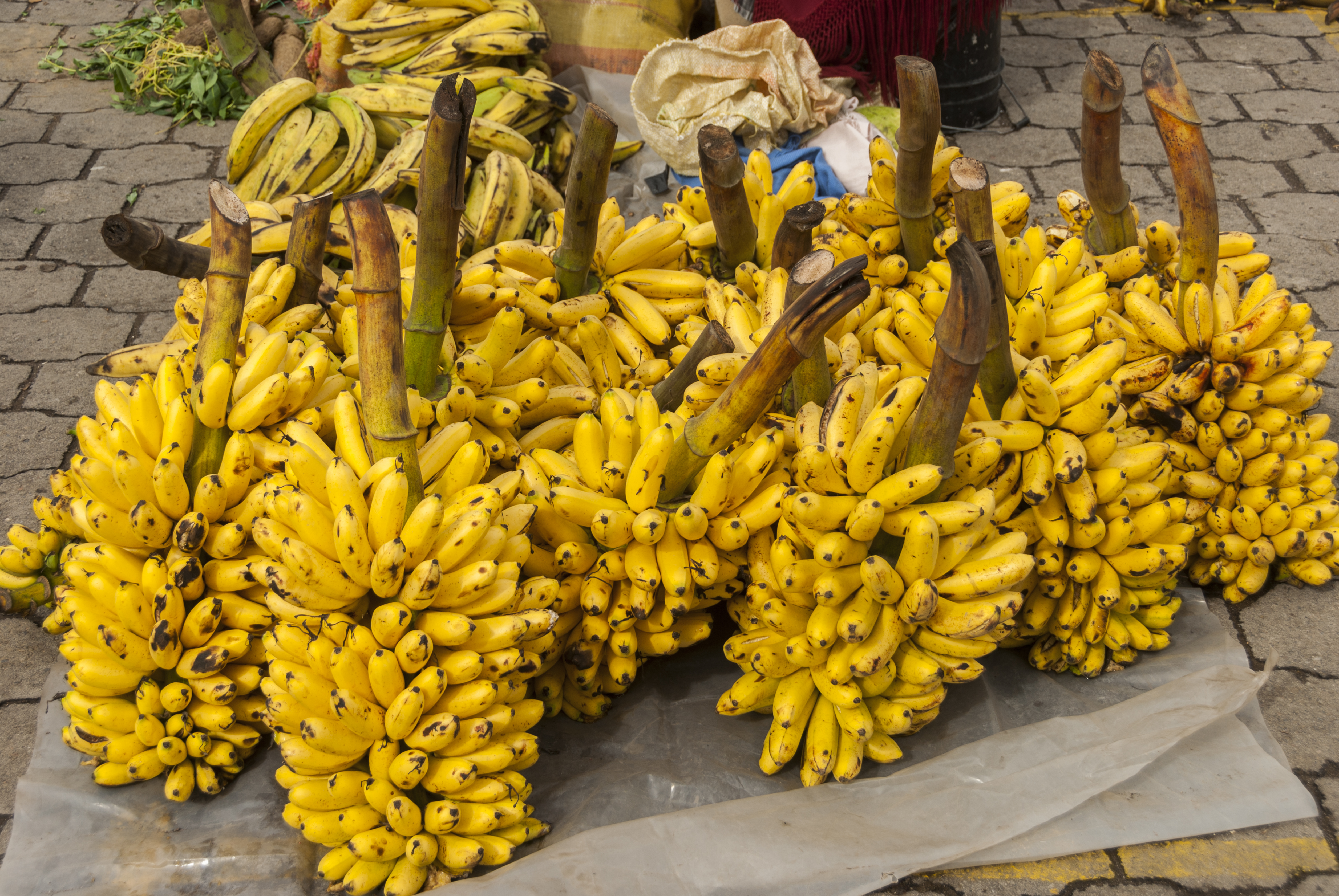 Ecuador's bananas in the market