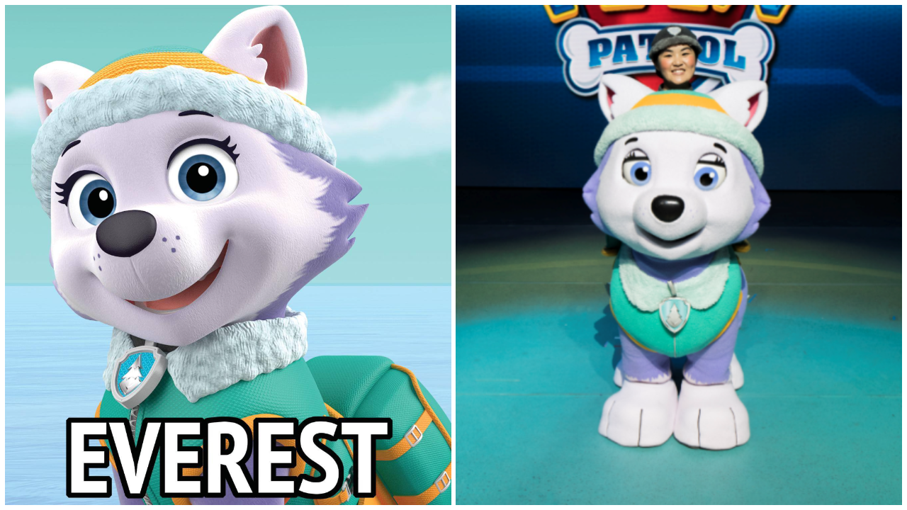 PAW Patrol characters