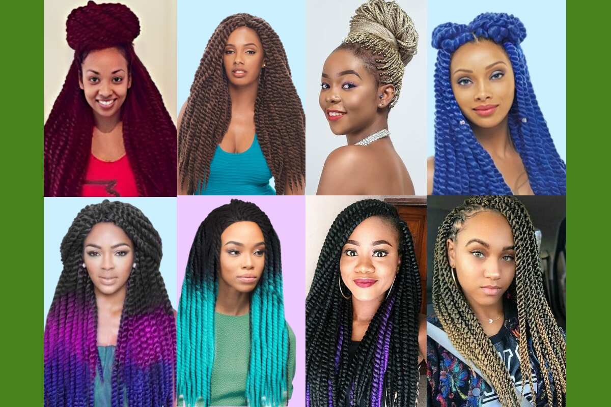 50+ beautiful Afro twist braids hairstyles guaranteed to turn heads -  