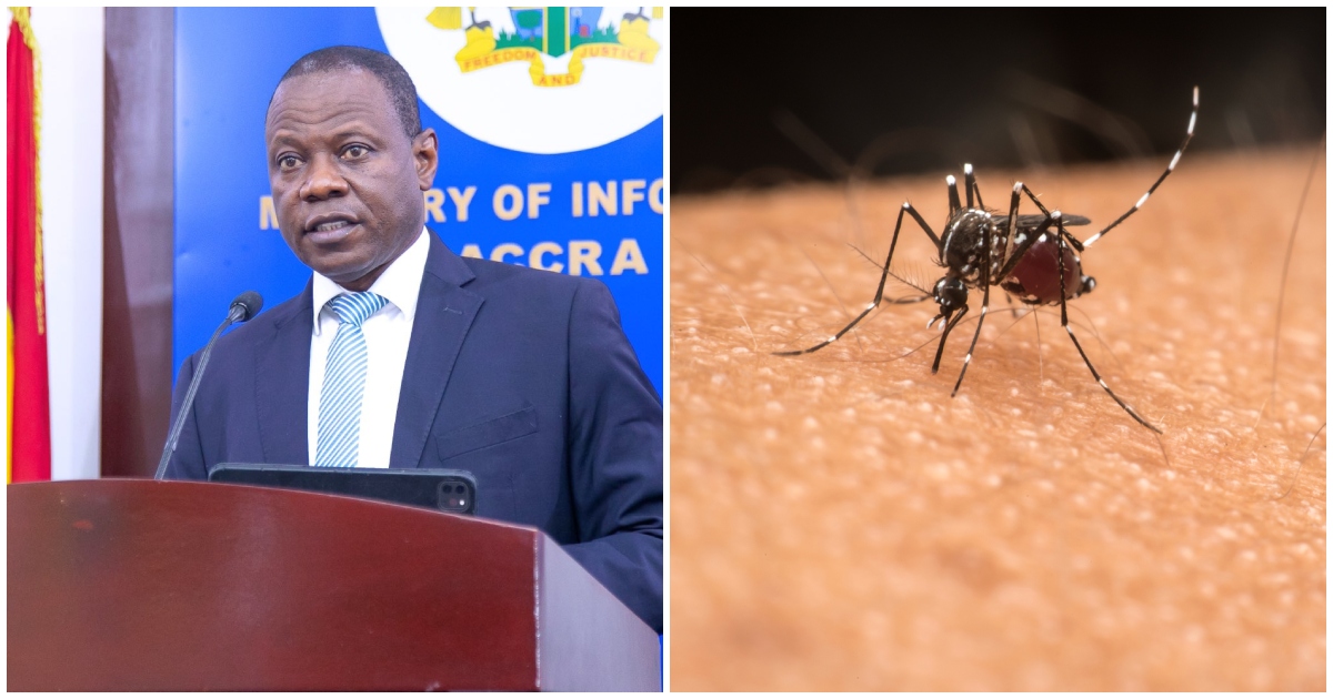 Ghana Health Service confirms presence of new mosquito vector in the country, warns everyone to be cautious