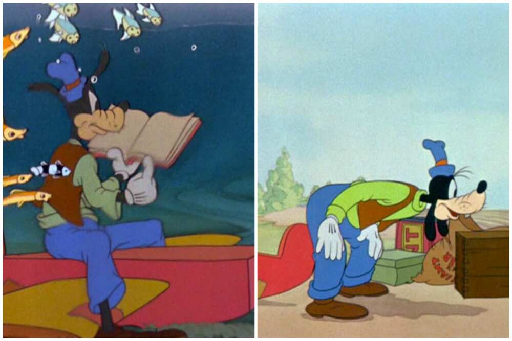 Is Goofy a cow or a dog? Everything you need to know about the Disney  character 