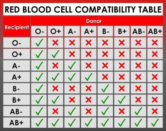 Best blood group compatibility for marriage and pregnancy 