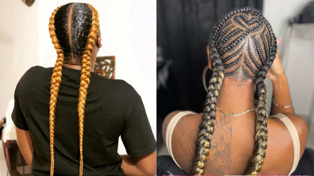 Two braids hairstyles