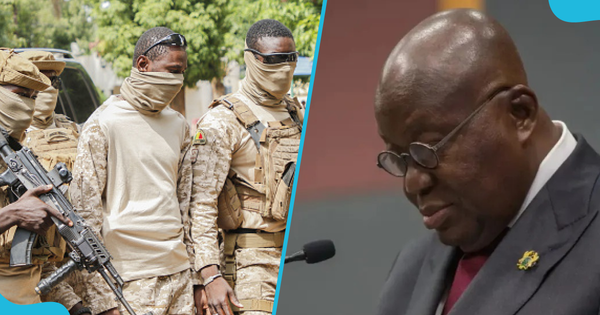 Nana Akufo-Addo has been warned against taking actions about the Niger coup that will endanger Ghana's peace and security.