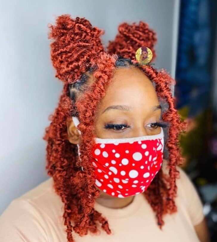Butterfly loc hairstyles