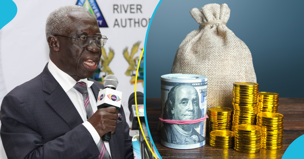 Osafo-Maafo Calls For More Transparency In Ghana's Asset Declaration Law