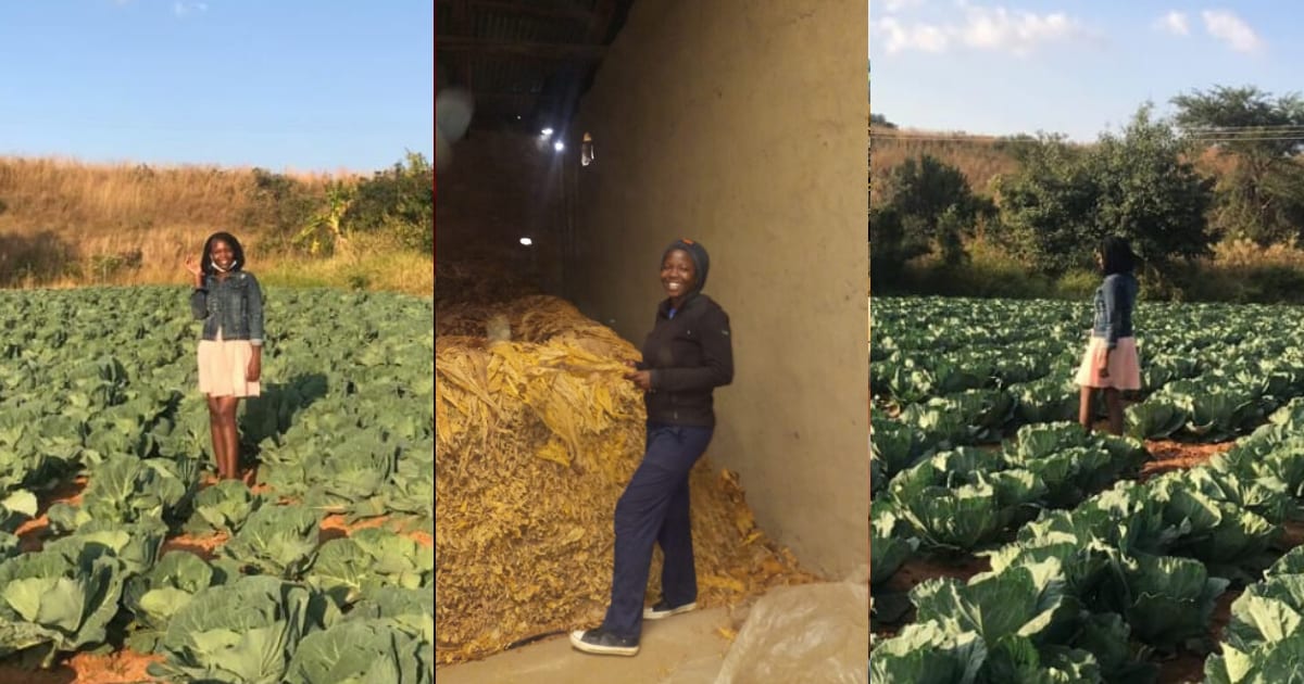 Graduate ventures into farming, setting an example for other women